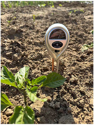 pH testing in soil with a meter and scale for acidification guidance. pH testing in soil with a meter and scale for acidification guidance.