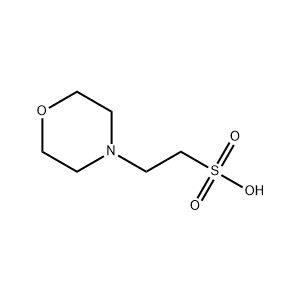 Molecular Structure of MES Molecular Structure of MES