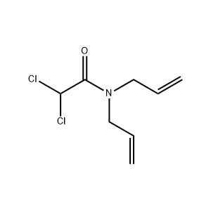 Molecular Structure of Dichlormid Molecular Structure of Dichlormid