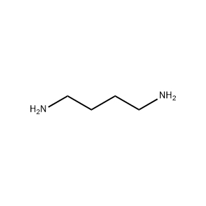 Molecular Structure of 1,4-Diaminobutane Molecular Structure of 1,4-Diaminobutane