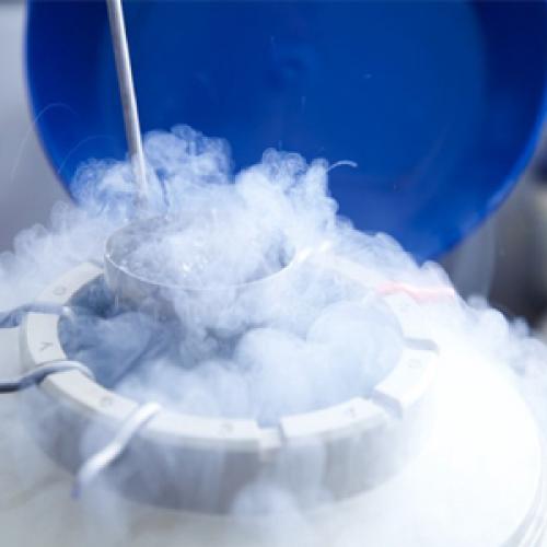 The Key Role of DMSO in Biopharmaceuticals and Cell Cryopreservation