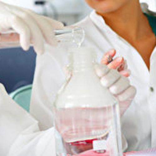 Trimethylsilyl Triflate vs Trimethylsilyl Chloride: Which Silylating Agent Performs Better?