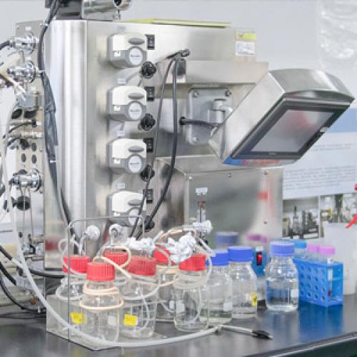 Applications of Decanoic Acid in Industrial and Laboratory