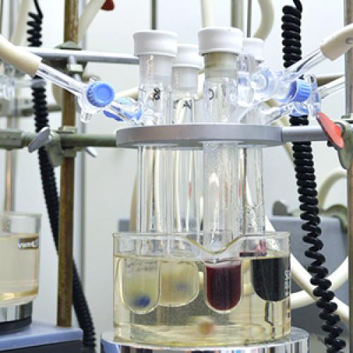 Metal Triflates as Lewis Acid Catalysts in Organic Synthesis