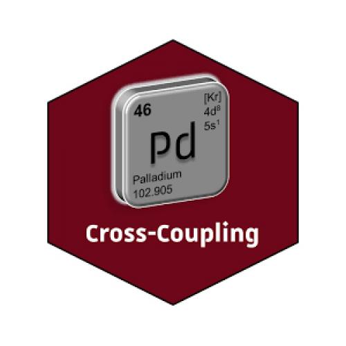 Palladium Catalysts for Cross-Coupling Reactions