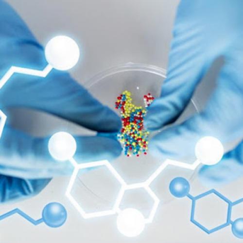 Piperazine and Piperidine Intermediates for Pharmaceutical Synthesis | Aure Chemical