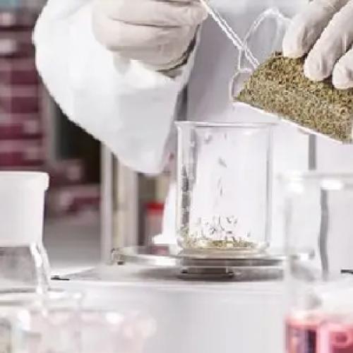 Pharmaceutical Intermediate Supply: Quality, Documentation and Packaging | Aure Chemical