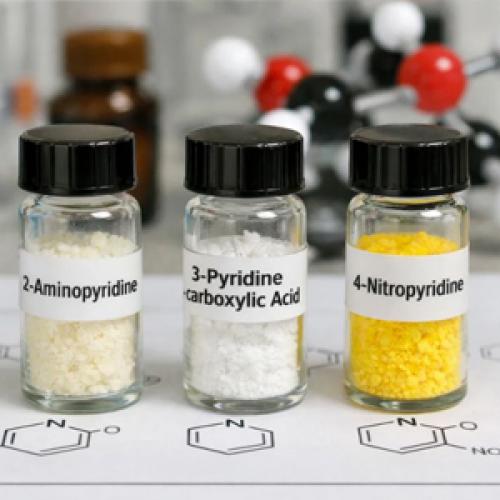 Pyridine & Aminopyridine Derivatives Supplier | API Intermediates