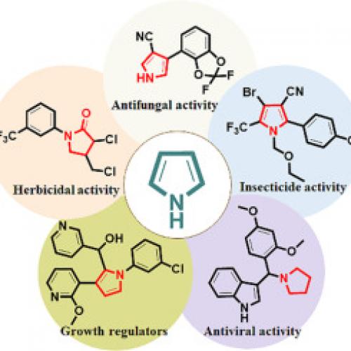 Pyrrolidine, Pyrrolidone & Pyrrole Derivatives Supplier | Specialty Synthesis