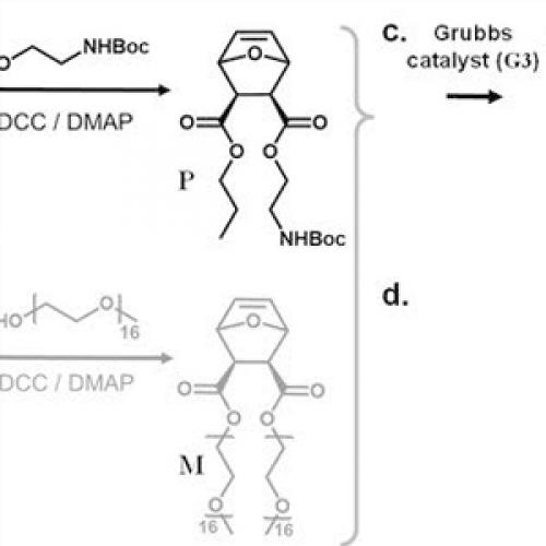 Protected PEG Intermediates: Benzyl & Phenyl PEG Derivatives | Aure Chemical