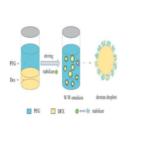 Diamino PEG Linkers for Polymer Modification | Aure Chemical