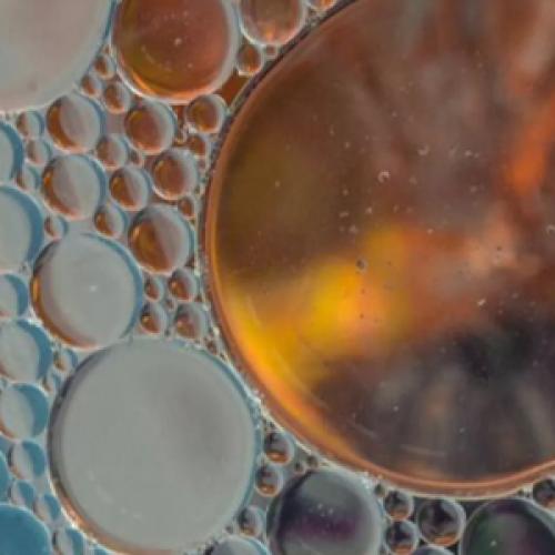 Sulfonate & Sulfate Salts Supplier | Anionic Surfactants & Monomers